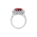 Scarlet Crown Rubin Ring | Weiß Gold